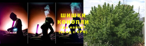соль ск Нея