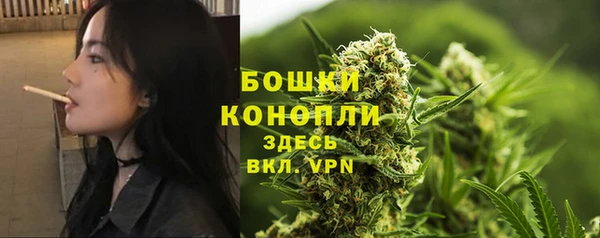 крисы Нефтегорск