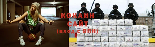 стафф Новокубанск
