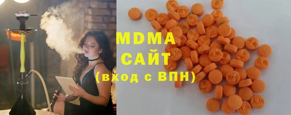 индика Белокуриха