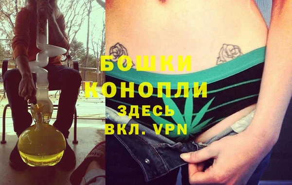 крисы Нефтегорск