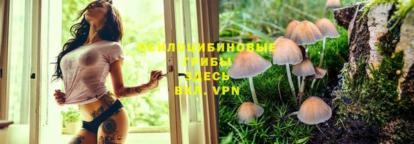 соль ск Нея