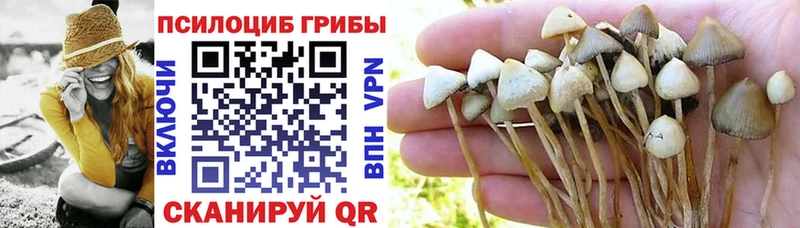 Псилоцибиновые грибы Cubensis  OMG зеркало  Серафимович  даркнет сайт 